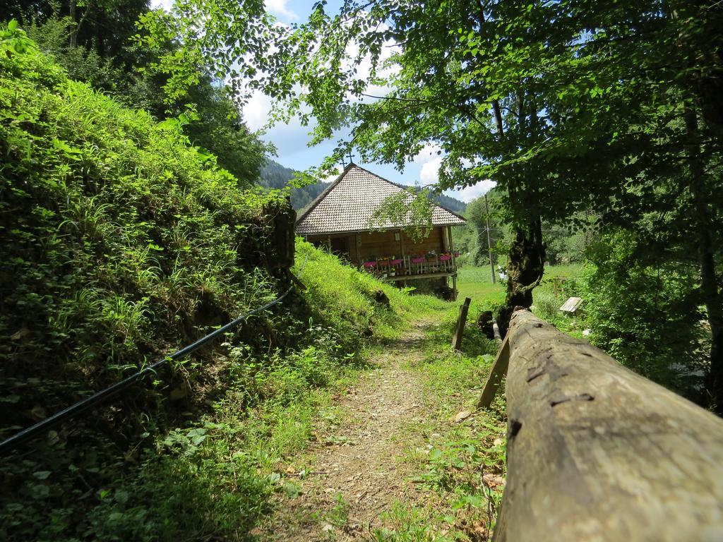 Hotel Oka I Po 贝拉内 外观 照片